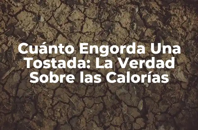 Cuánto Engorda una Tostada: la Verdad sobre las Calorías