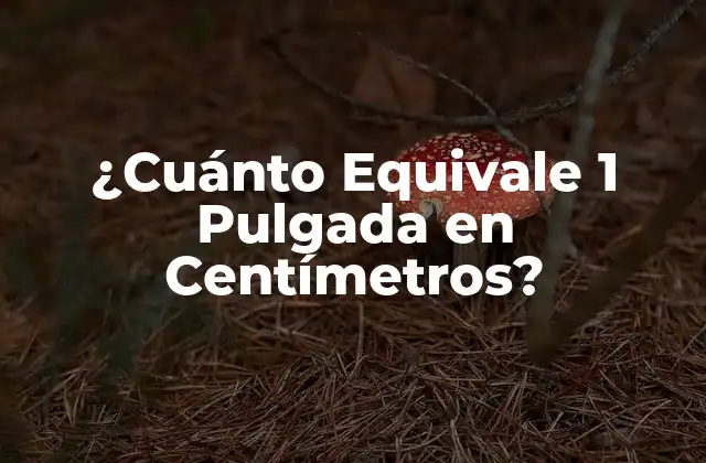 ¿cuánto Equivale 1 Pulgada en Centímetros?