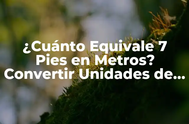 ¿cuánto Equivale 7 Pies en Metros? Convertir Unidades de Longitud