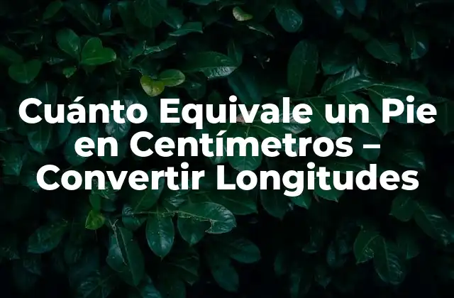 Cuánto Equivale un Pie en Centímetros – Convertir Longitudes