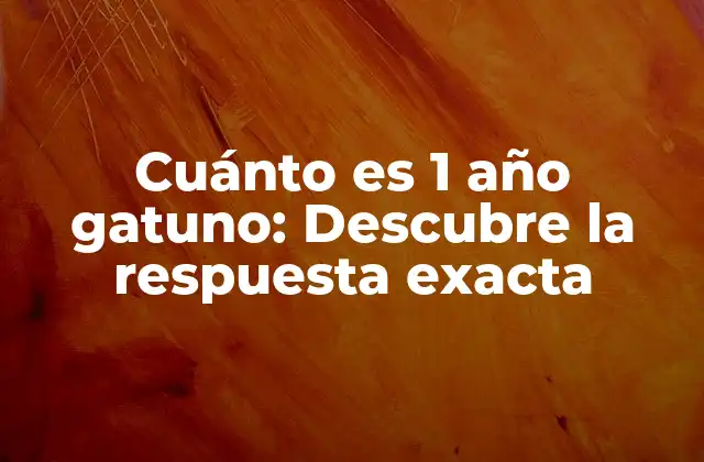 Cuánto es 1 Año Gatuno: Descubre la Respuesta Exacta
