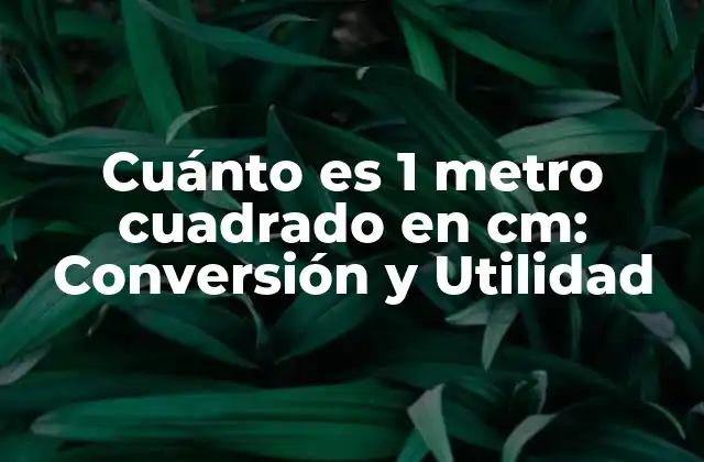 Cuánto es 1 Metro Cuadrado en Cm: Conversión y Utilidad