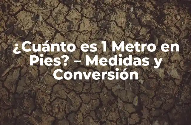 ¿cuánto es 1 Metro en Pies? – Medidas y Conversión