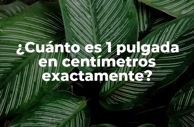 ¿cuánto es 1 Pulgada en Centímetros Exactamente? 2 Orígenes y definición de la pulgada