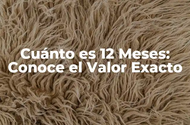 Cuánto es 12 Meses: Conoce el Valor Exacto