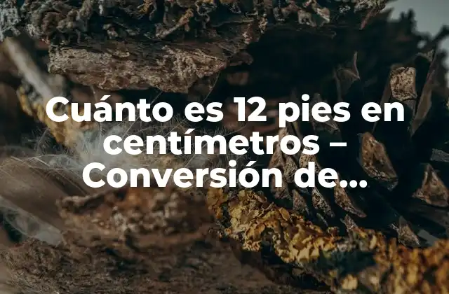 Cuánto es 12 Pies en Centímetros - Conversión de Unidades de Longitud 2 Unidades de longitud: Sistema Internacional y Sistema Imperial