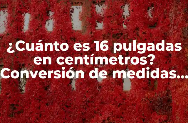 ¿cuánto es 16 Pulgadas en Centímetros? Conversión de Medidas Exacta