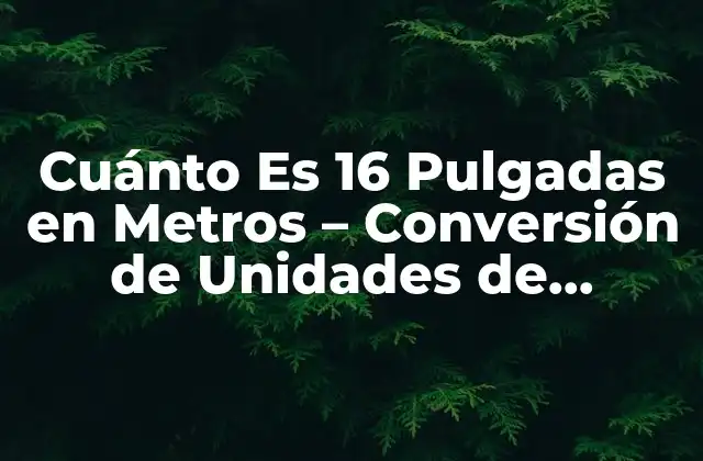 Cuánto es 16 Pulgadas en Metros – Conversión de Unidades de Longitud