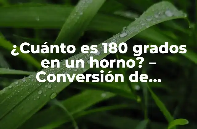 ¿cuánto es 180 Grados en un Horno? – Conversión de Temperatura para Cocinar Perfecto