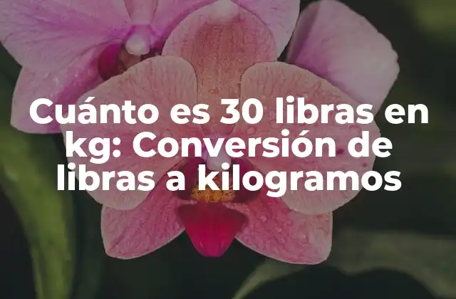La relación entre libras y kilogramos