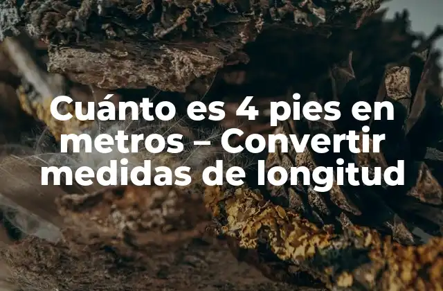 Cuánto es 4 Pies en Metros – Convertir Medidas de Longitud