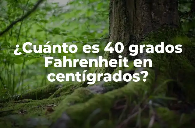 ¿Qué es la escala Fahrenheit?