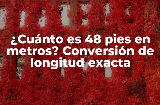 ¿cuánto es 48 Pies en Metros? Conversión de Longitud Exacta