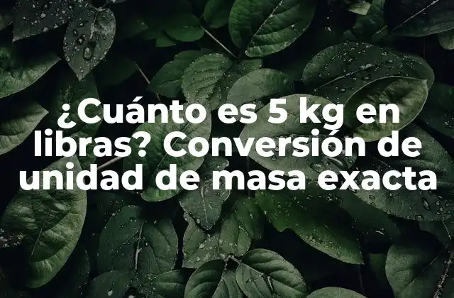 ¿cuánto es 5 Kg en Libras? Conversión de Unidad de Masa Exacta 2 Unidades de masa comunes: Kilogramos y libras