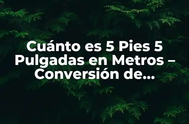 Cuánto es 5 Pies 5 Pulgadas en Metros – Conversión de Unidades