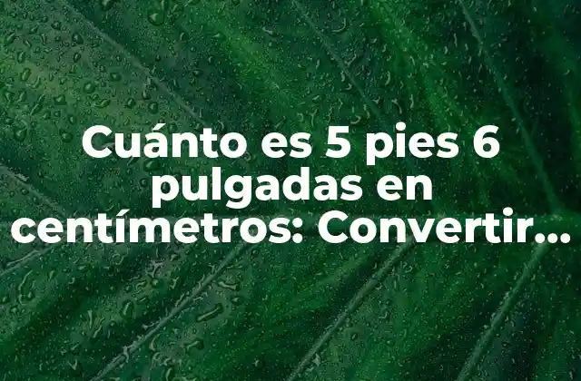 Cuánto es 5 Pies 6 Pulgadas en Centímetros: Convertir Medidas de Longitud