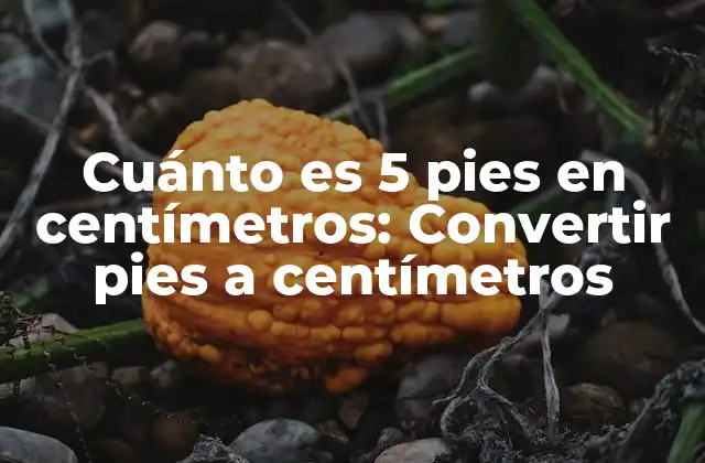 Cuánto es 5 Pies en Centímetros: Convertir Pies a Centímetros 2 ¿Por qué es importante la conversión de unidades?