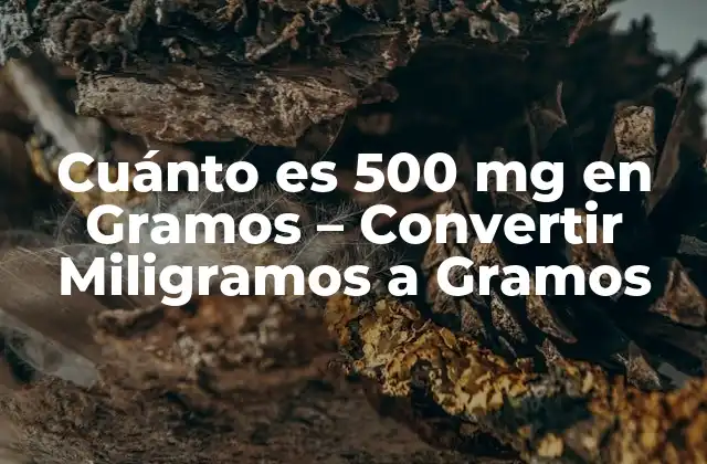 Cuánto es 500 Mg en Gramos – Convertir Miligramos a Gramos