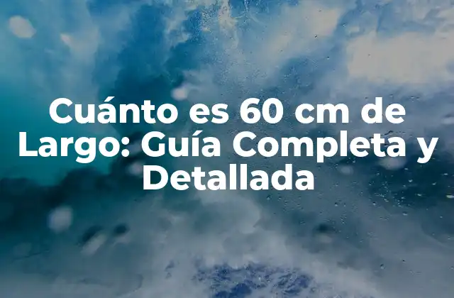 Cuánto es 60 Cm de Largo: Guía Completa y Detallada