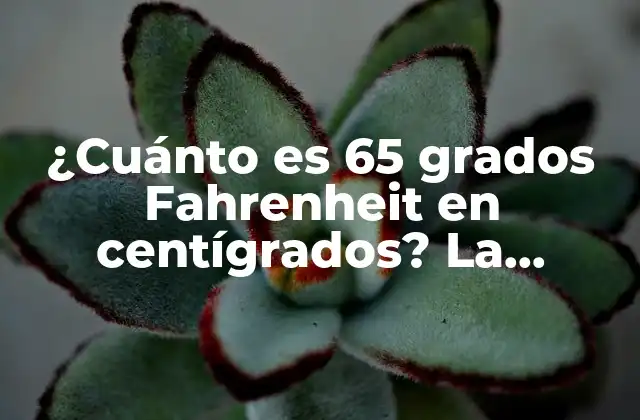 ¿cuánto es 65 Grados Fahrenheit en Centígrados? la Conversión Definitiva