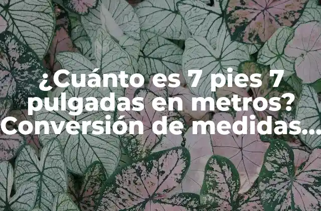 ¿cuánto es 7 Pies 7 Pulgadas en Metros? Conversión de Medidas Exacta