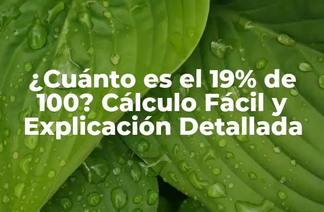¿cuánto es el 19% de 100? Cálculo Fácil y Explicación Detallada