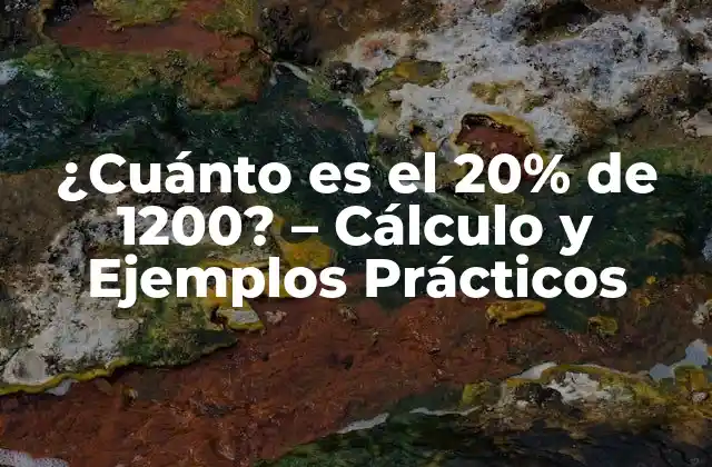 ¿Qué es la Proporción del 20%?