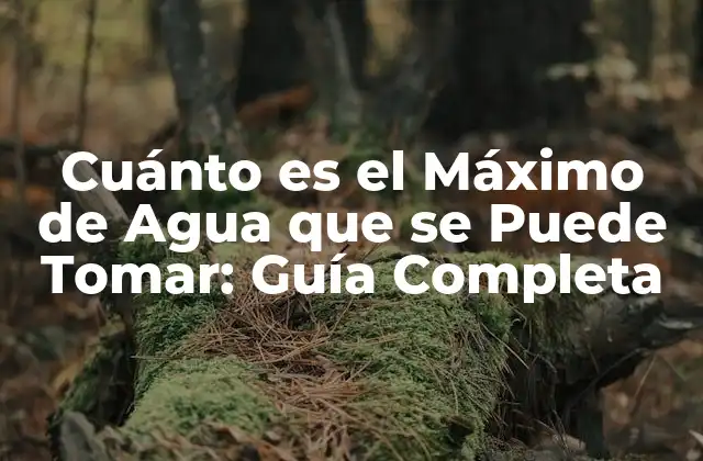 Cuánto es el Máximo de Agua que Se Puede Tomar: Guía Completa 2 La Recomendación de Agua Diaria: ¿Cuántos Litros se Deben Beber?