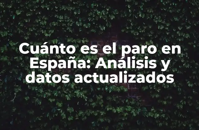 Cuánto es el Paro en España: Análisis y Datos Actualizados 2 Definición y tipos de paro
