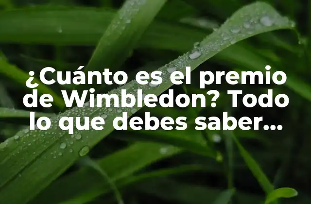 ¿cuánto es el Premio de Wimbledon? Todo Lo que Debes Saber sobre el Dinero en el Tenis de Élite