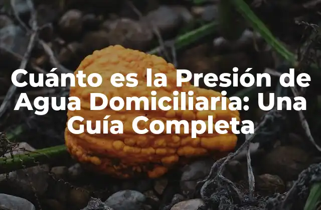 ¿Qué es la Presión de Agua Domiciliaria?