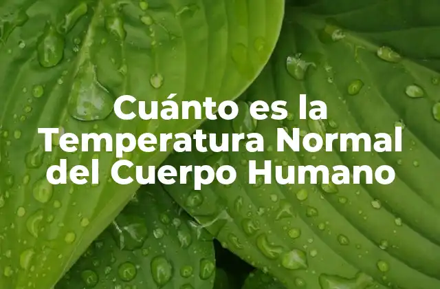 Cuánto es la Temperatura Normal Del Cuerpo Humano