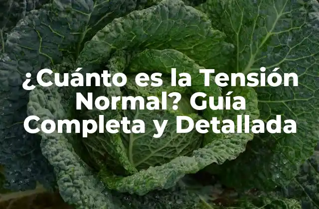 ¿cuánto es la Tensión Normal? Guía Completa y Detallada