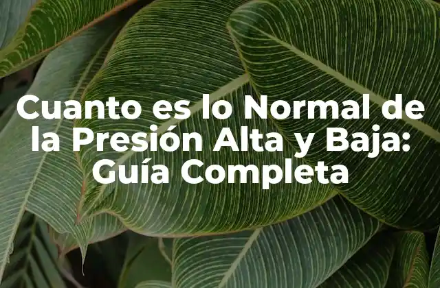 Cuanto es Lo Normal de la Presión Alta y Baja: Guía Completa