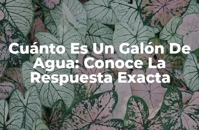 Cuánto es un Galón de Agua: Conoce la Respuesta Exacta