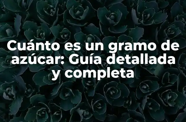 Cuánto es un Gramo de Azúcar: Guía Detallada y Completa
