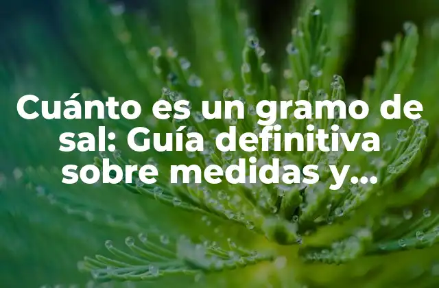 Cuánto es un Gramo de Sal: Guía Definitiva sobre Medidas y Equivalentes
