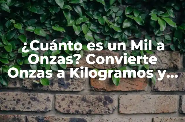 ¿cuánto es un Mil a Onzas? Convierte Onzas a Kilogramos y Libras
