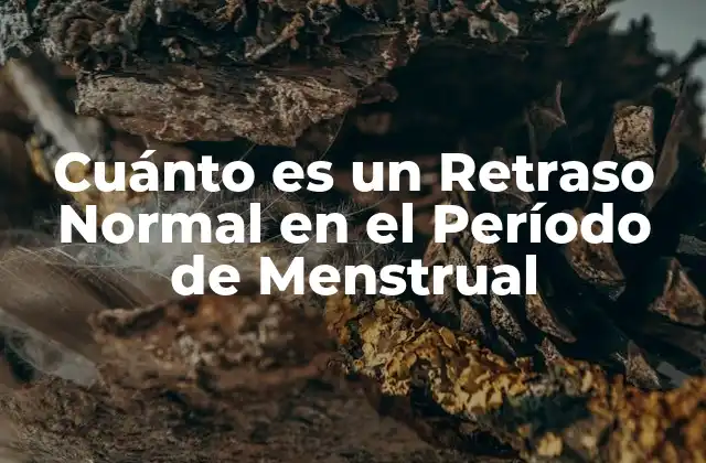 ¿Cuál es el Rango Normal de un Ciclo Menstrual?