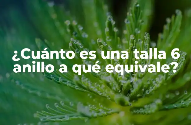 ¿cuánto es una Talla 6 Anillo a Qué Equivale? 2 ¿Qué es la talla 6 anillo en el sistema internacional?