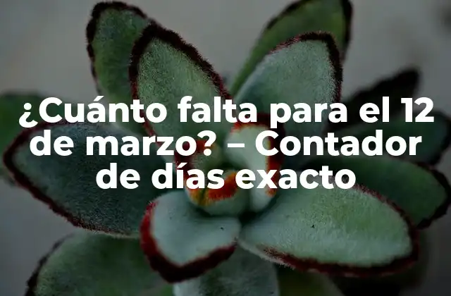 ¿cuánto Falta para el 12 de Marzo? – Contador de Días Exacto