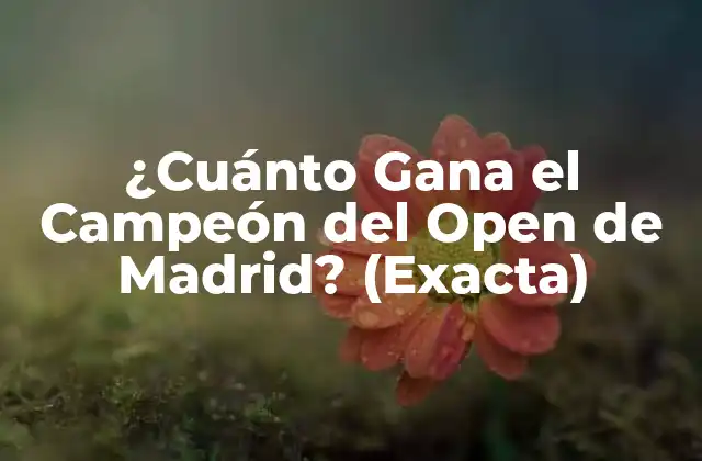 ¿cuánto Gana el Campeón Del Open de Madrid? (exacta) 2 Historia del Open de Madrid