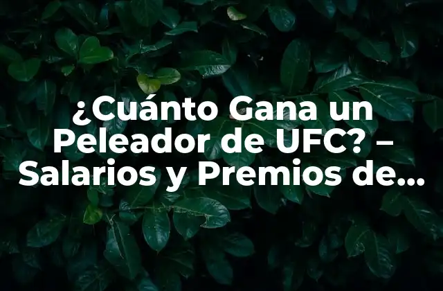 ¿cuánto Gana un Peleador de Ufc? – Salarios y Premios de los Luchadores de Artes Marciales Mixtas