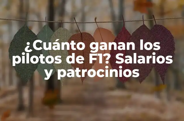 ¿cuánto Ganan los Pilotos de F1? Salarios y Patrocinios