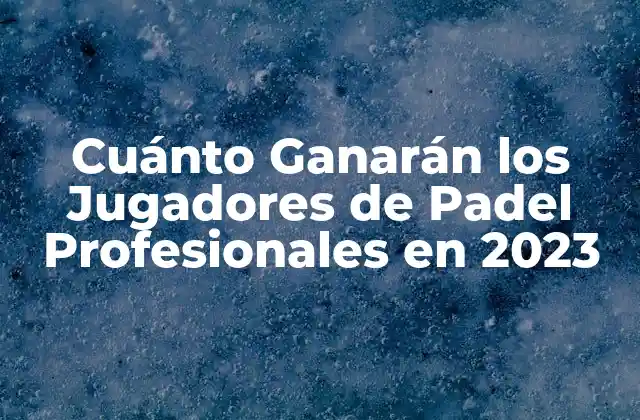 Los Ingresos de los Jugadores de Padel Profesionales