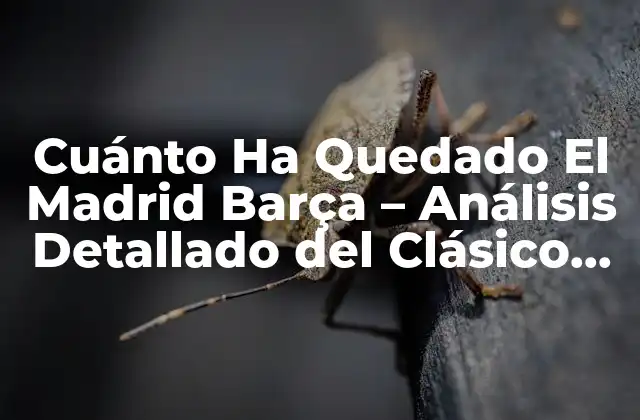 Historia del Clásico Español