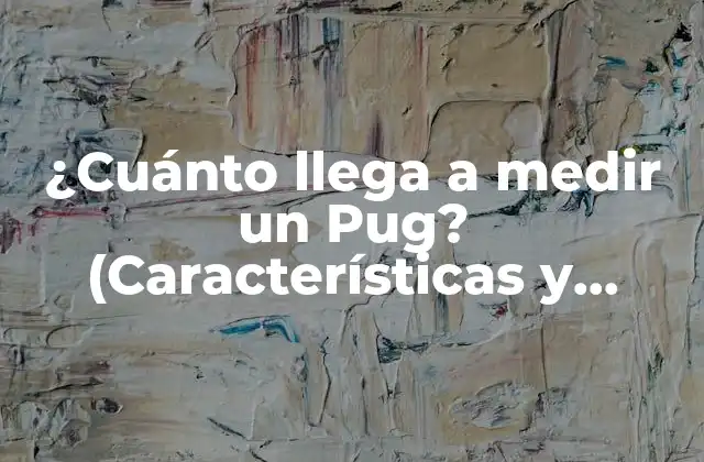 ¿cuánto Llega a Medir un Pug? (características y Cuidados Del Pug)