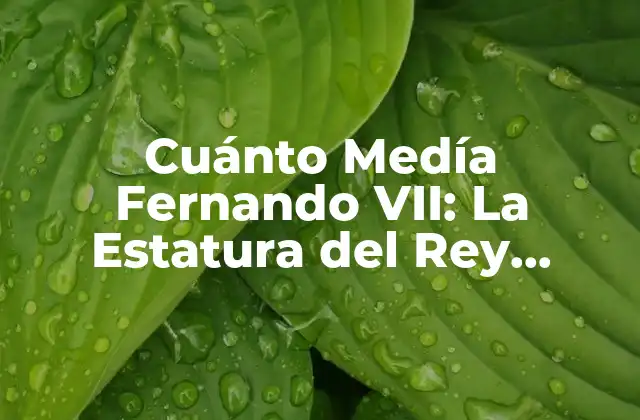 Cuánto Medía Fernando Vii: la Estatura Del Rey Español