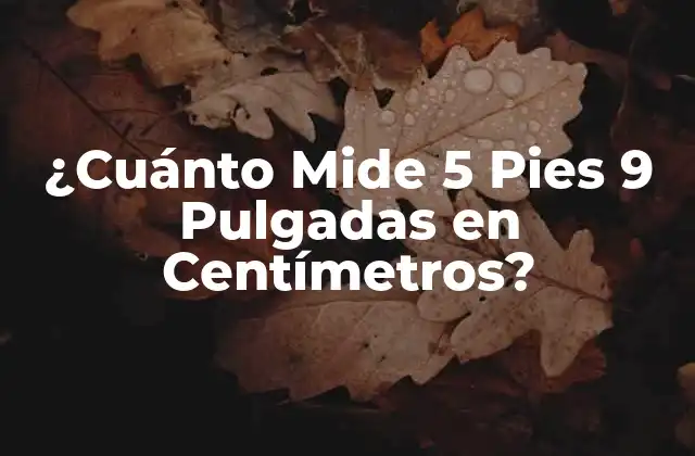 ¿cuánto Mide 5 Pies 9 Pulgadas en Centímetros?