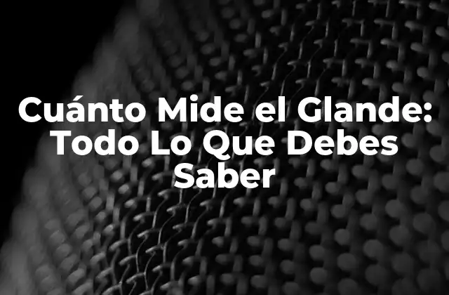 Cuánto Mide el Glande: Todo Lo que Debes Saber 2 ¿Cuál es el Tamaño Promedio del Glande?